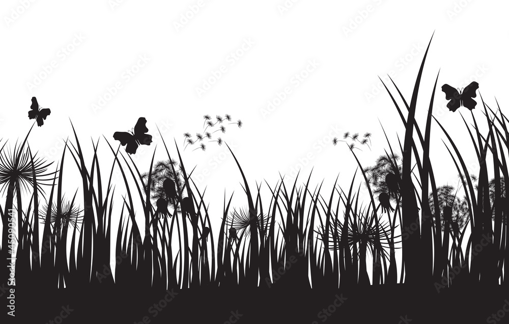 Fototapeta grass silhouette background