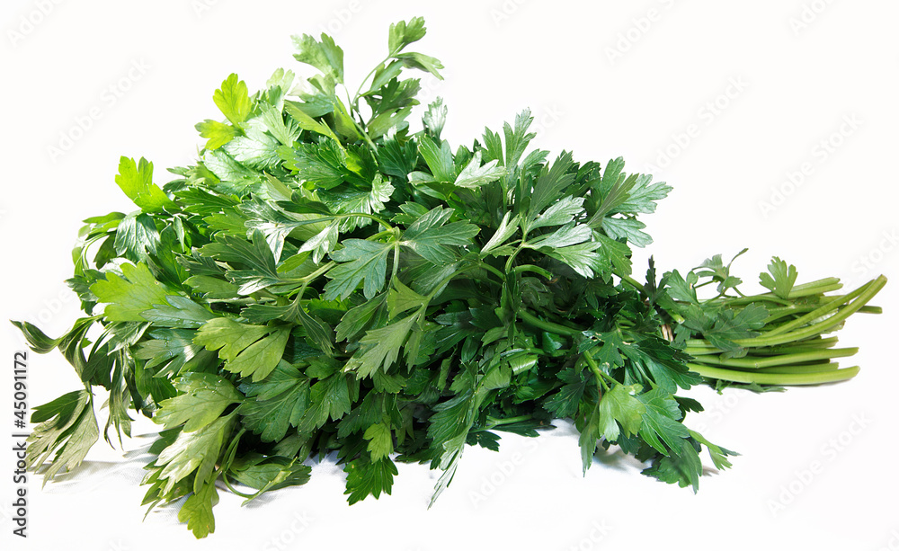 Fresh parsley on white background Fresh parsley on white background
