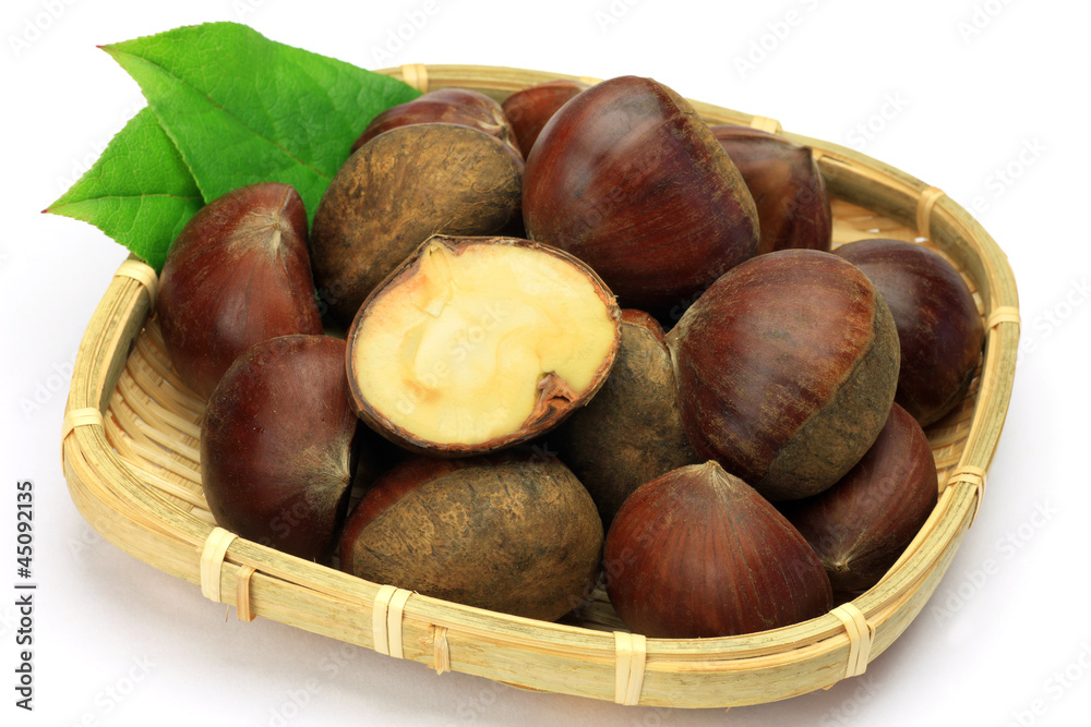 Obraz premium chestnut