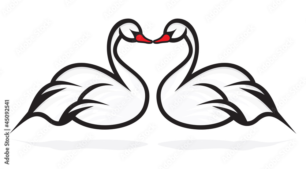 Fototapeta premium swans