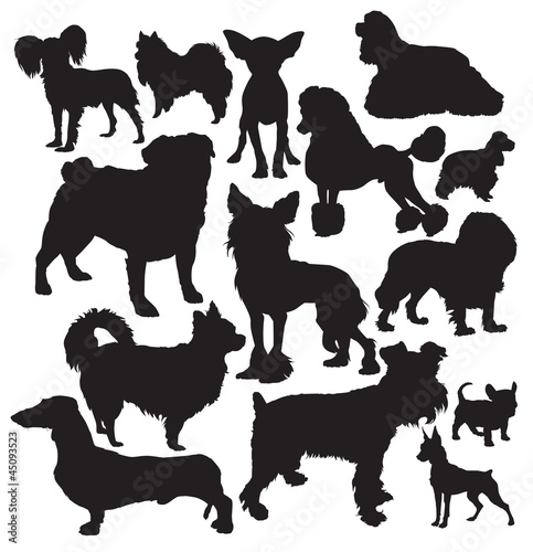 decorative dogs  vecto
