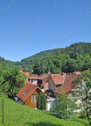 Wallpaper Mural der beliebte Urlaubs-und Kurort Bad Grund im Harz Torontodigital.ca