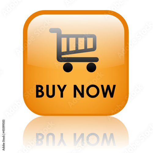 "BUY NOW" Web Button (order online pay add to cart click here)