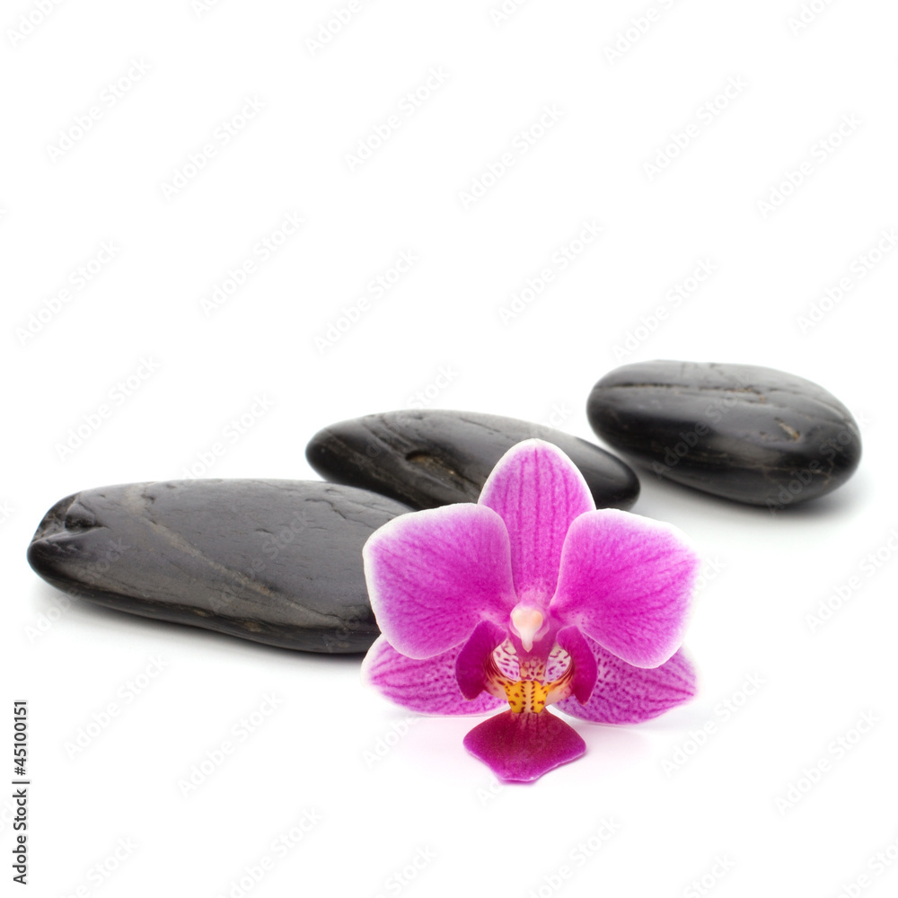 Zen pebbles path. Spa and healthcare concept. Zen pebbles path. Spa and healthcare concept.
