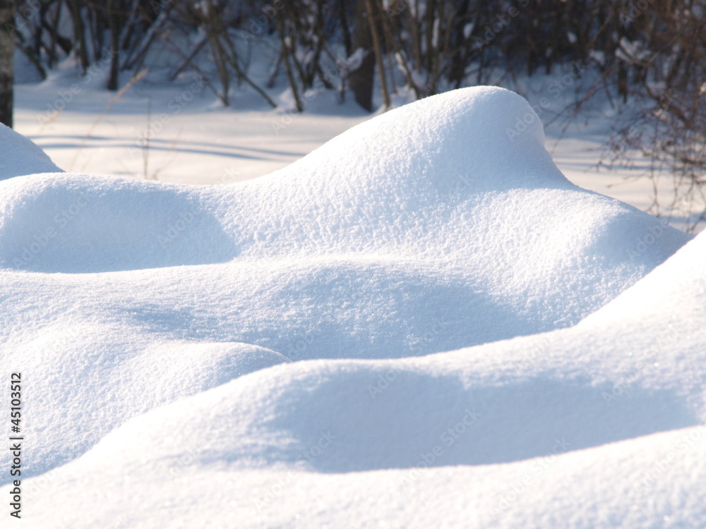 Fototapeta premium Fresh snow cover, daytime light at winter