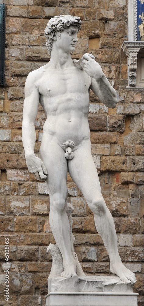 Obraz premium FIRENZE DAVID DI MICHELANGELO 02