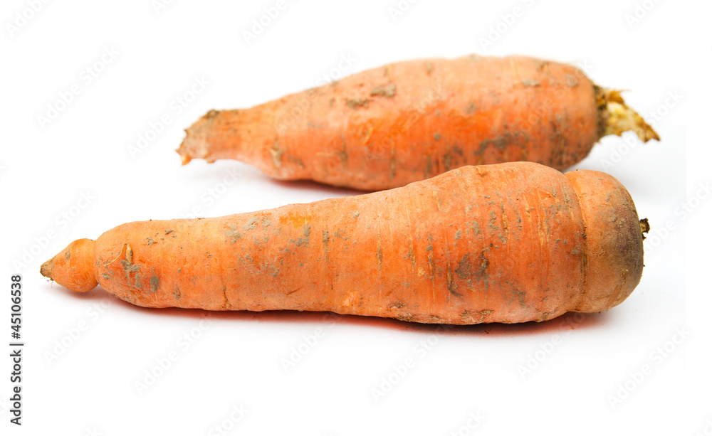 dirty carrots on a white background dirty carrots on a white background