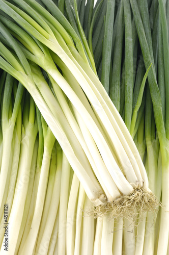 Onions bunch on a white background