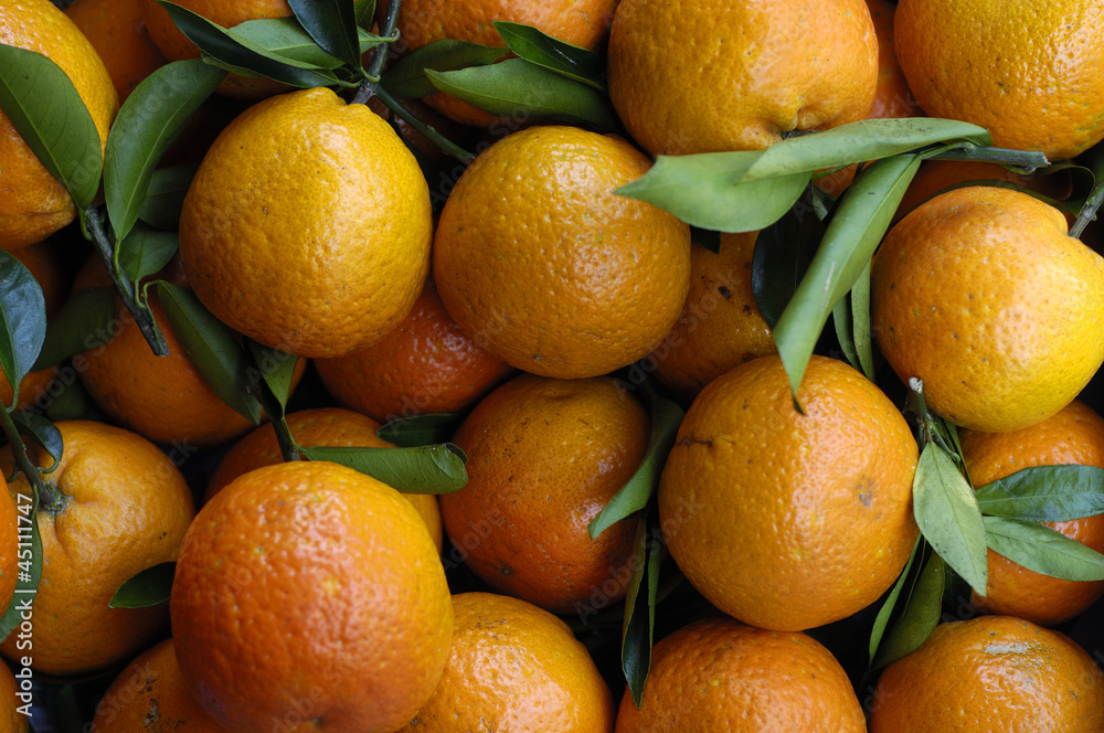 harvest of fresh orange tangerines harvest of fresh orange tangerines
