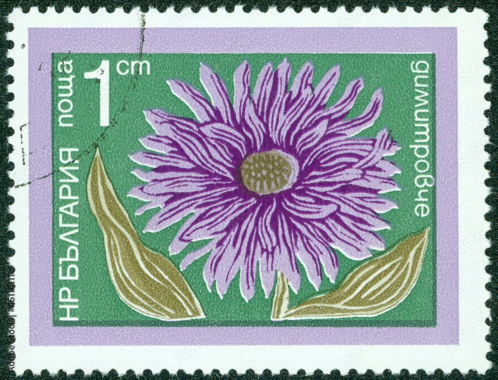 stamp printed in Bulgaria shows aster