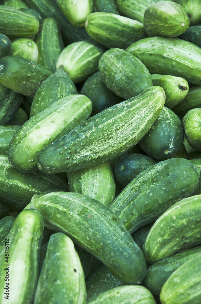 cucumbers cucumbers