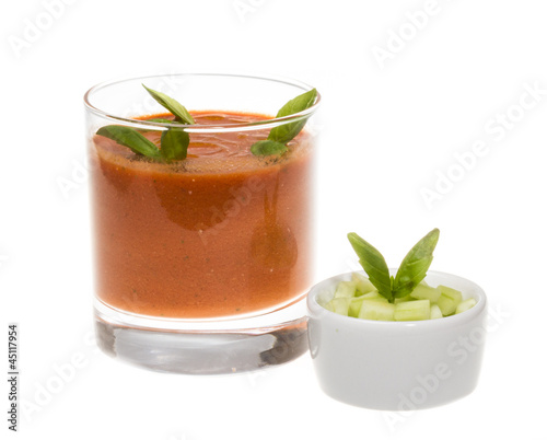 Gaspacho - Ice-cold and spicy vegetable soup of Andalusia, Spain