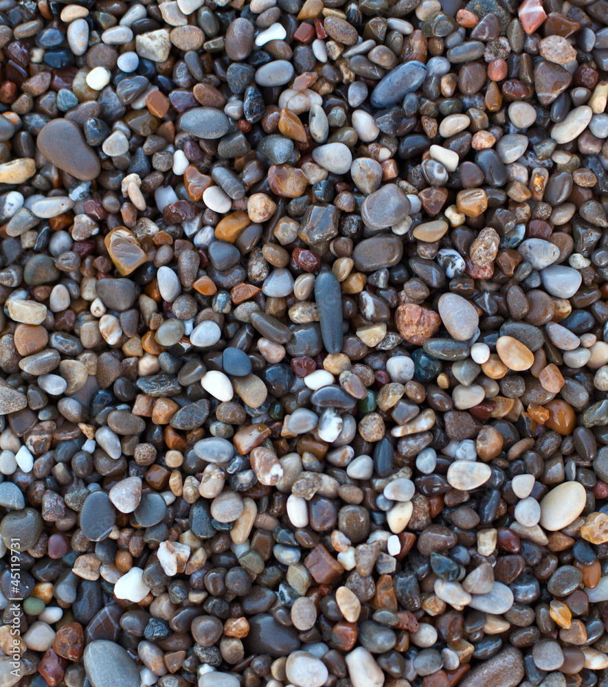 Fototapeta premium wet beach stones