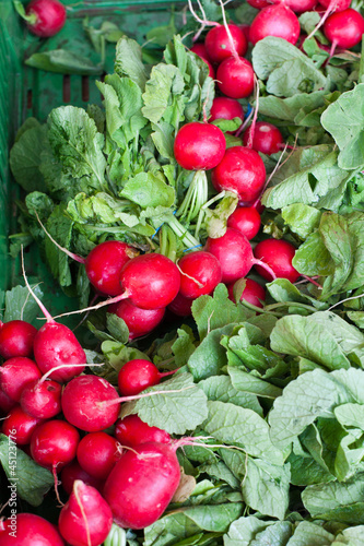 Fresh healthy bio radishes on German farmer agricultural market