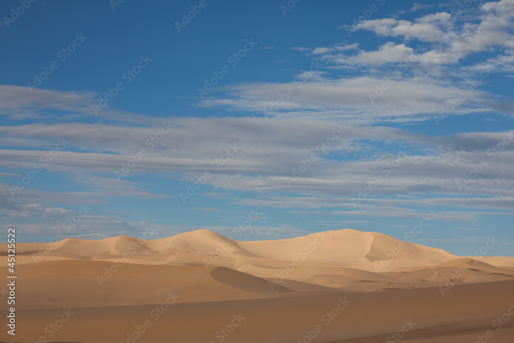 Fototapeta premium Desert