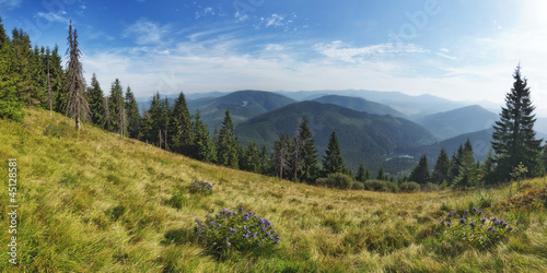 Panorama of the lake Synevir in the Carpathians.