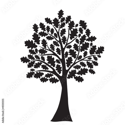 black oak tree, stylized, vector for design