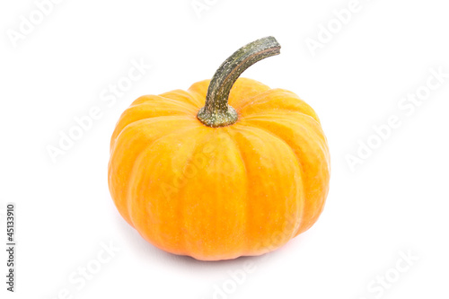Decorative pumpkin squash isolated on white background