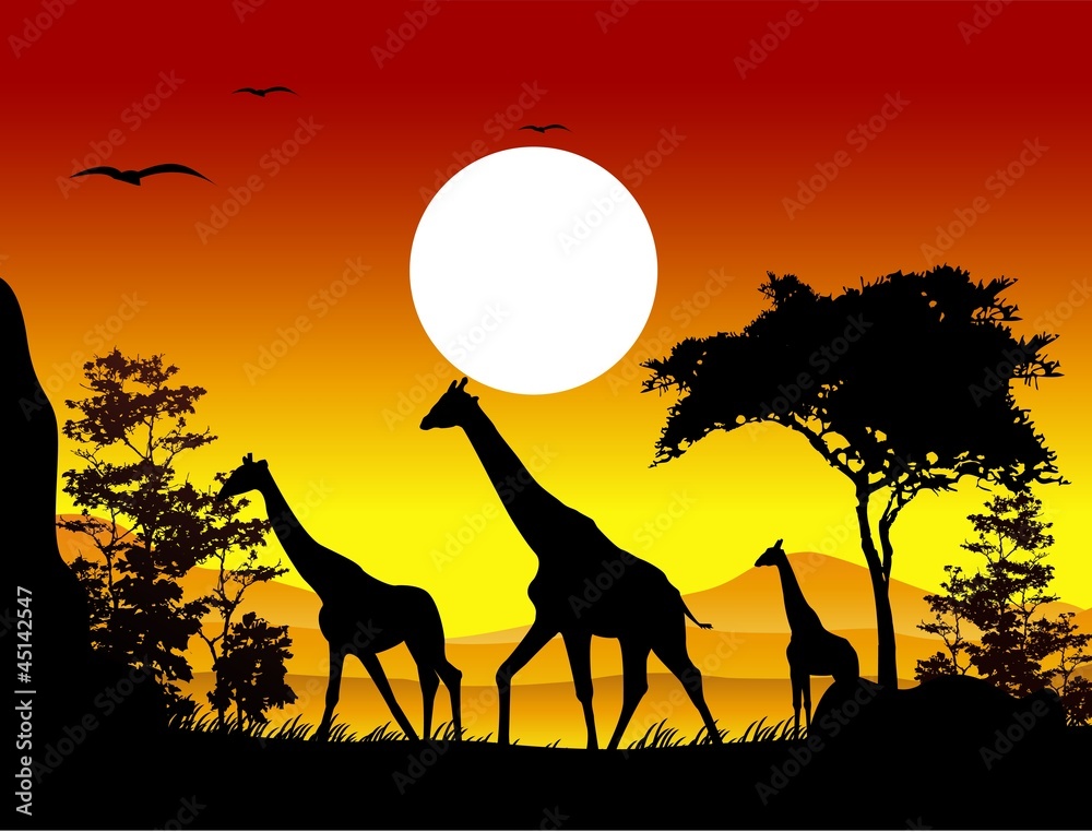 Naklejka premium beauty giraffe trip silhouettes with landscape background