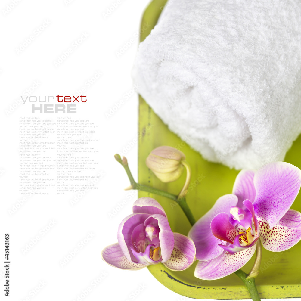 Orchid Spa Composition Orchid Spa Composition