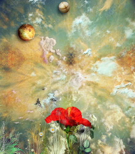 Foto Ibiscus in the grunge sky