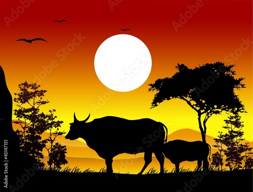 beauty cow silhouettes with landscape background © sunlight789