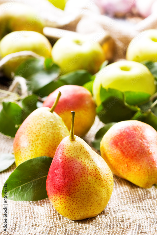 fresh pears and apples fresh pears and apples