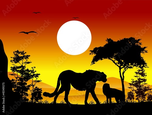 beauty cheetah silhouettes with landscape background