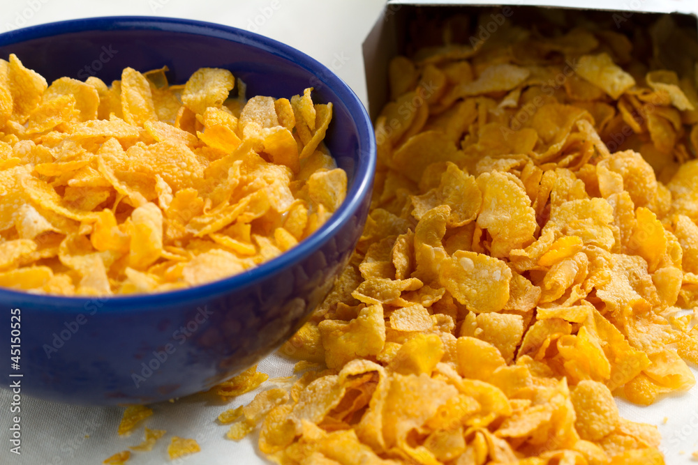 corn flakes from the box package corn flakes from the box package
