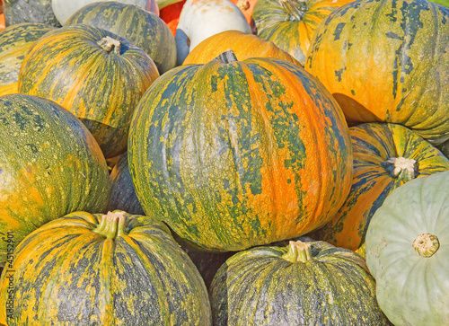 Colorful pumpkins