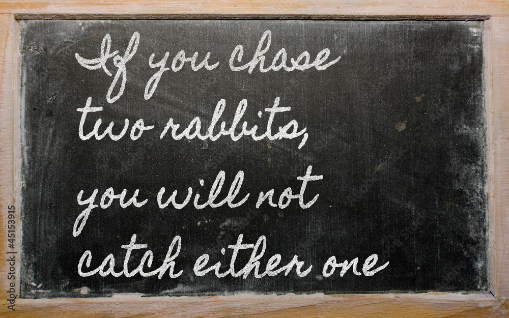Fototapeta premium expression - If you chase two rabbits, you will not catch eithe