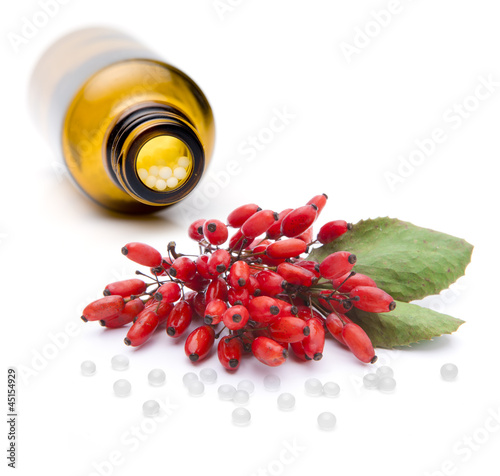 Berberitze und Globuli