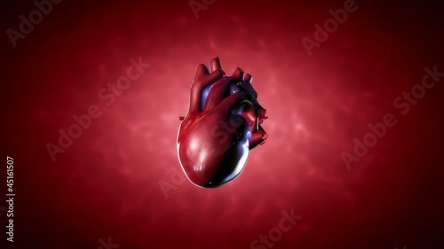 Beating human heart, animation loop photo