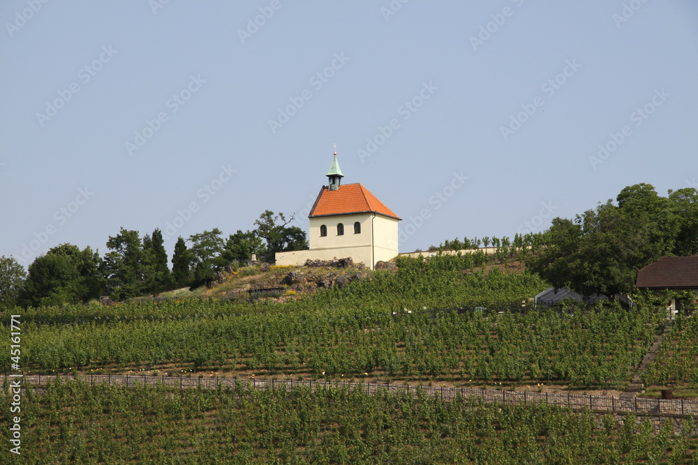 Small chapel and vineyard Small chapel and vineyard