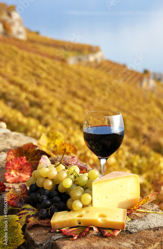 Glass of red wine. Lavaux region, Switzerland