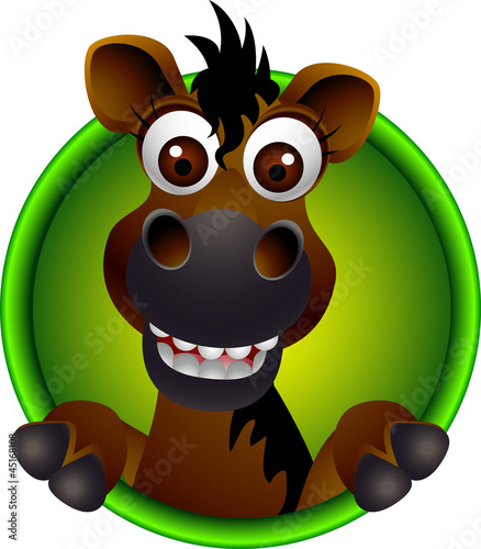 cute horse head cartoon