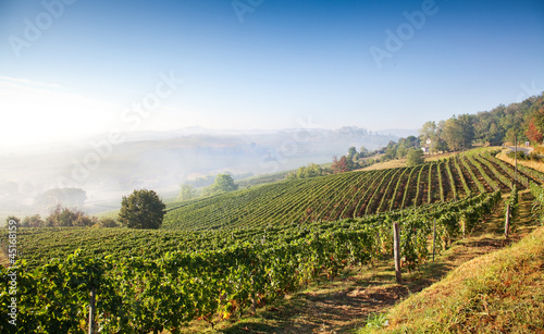 Astigiano, Piedmont, Italy: landscape (Costigliole d'Asti) photo