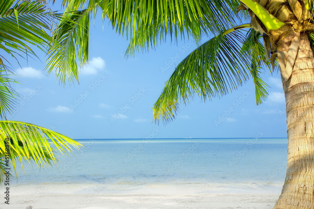 Naklejka premium tropic scene