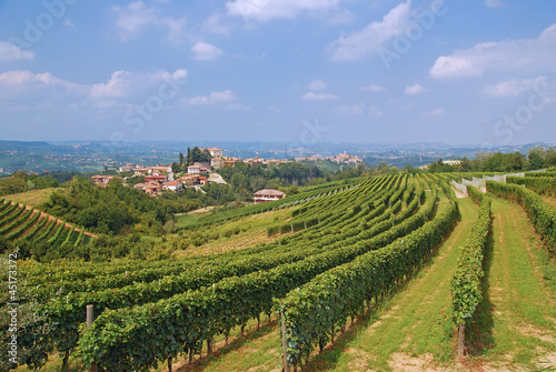 das bekannte Weinanbaugebiet Langhè bei Asti im Piemont