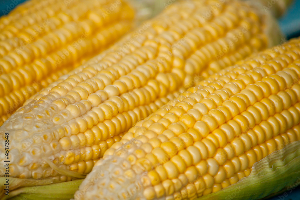 Corn Corn