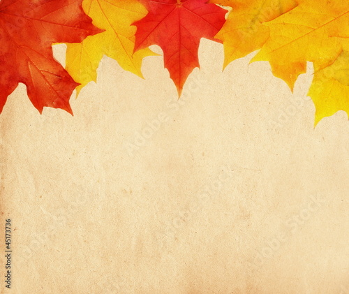 Autumn background, vintage maple leaves