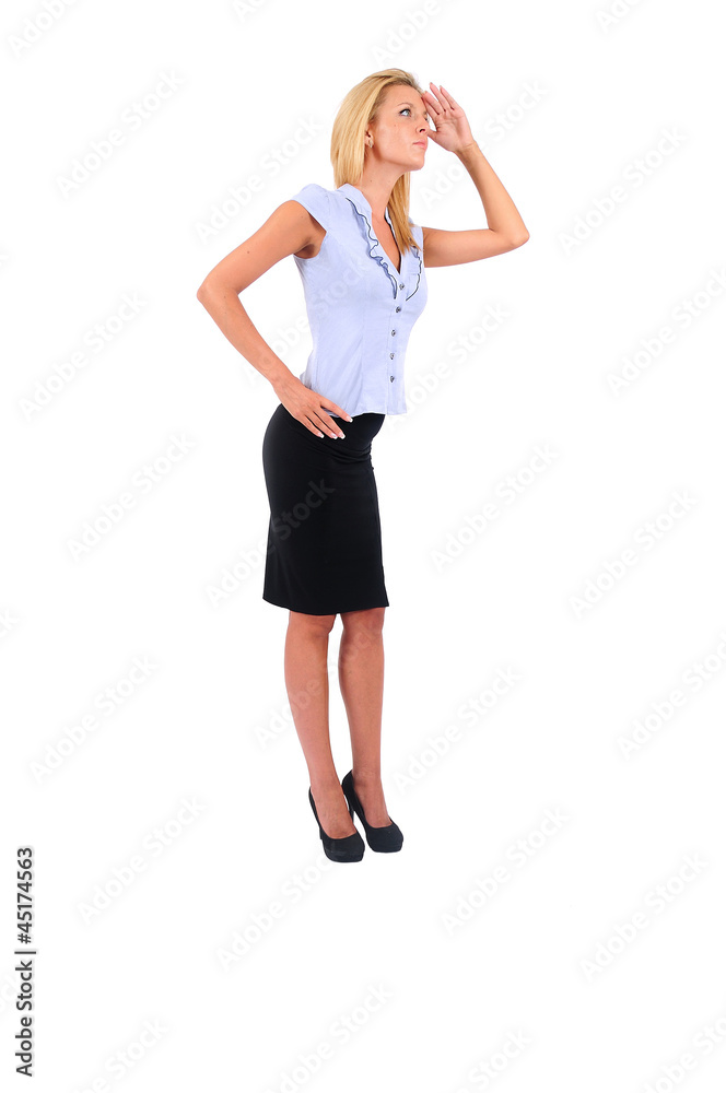 Isolated Business Woman Isolated Business Woman