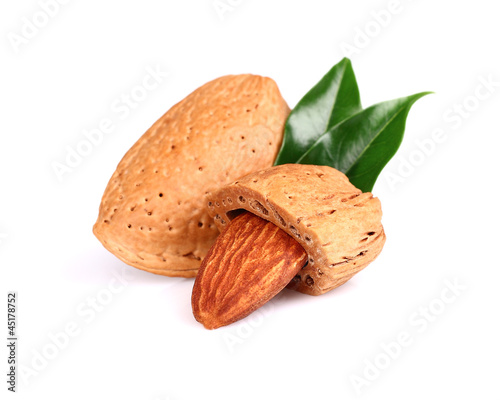 Dried almond with leaf