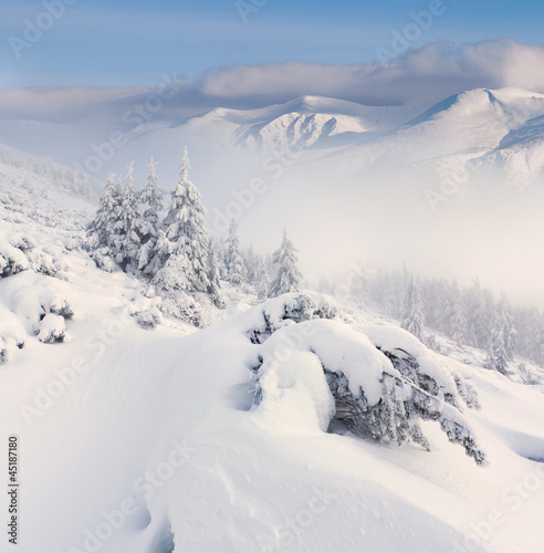 Beautiful winter landscape in the mountains