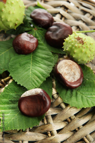 Chestnuts with leaves on wicker background