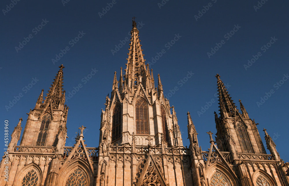 Cathedral of the Holy Cross in Barcelona, Spain