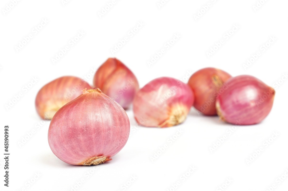 red onion isolated on white background red onion isolated on white background