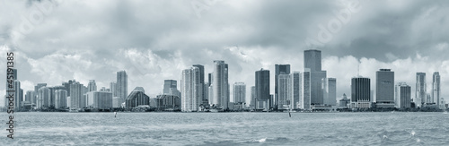 Miami black and white