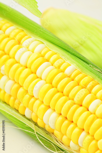 Fotografija corn cob
