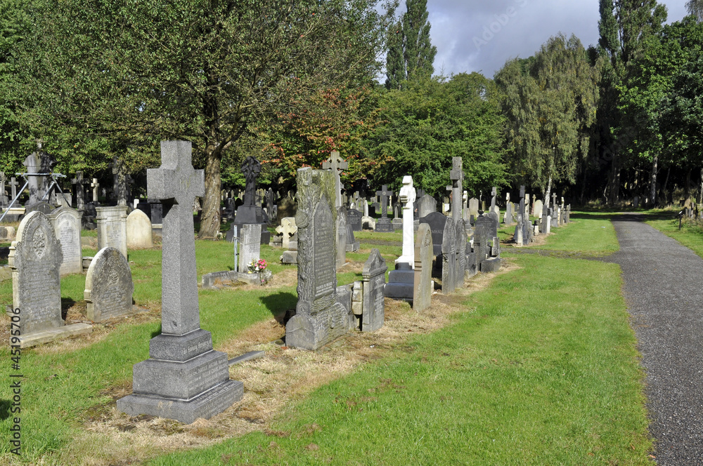 Naklejka premium Victorian Graveyard